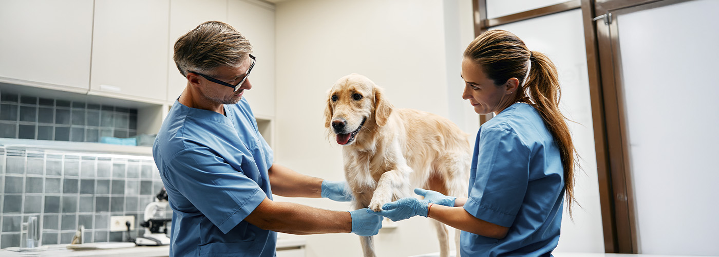 Optimización de Insumos para Clínicas: Higiene y Control Ambiental