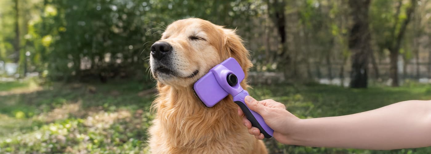 Zupet: Los esenciales de Grooming que todo Pet Shop debe tener para una venta fácil