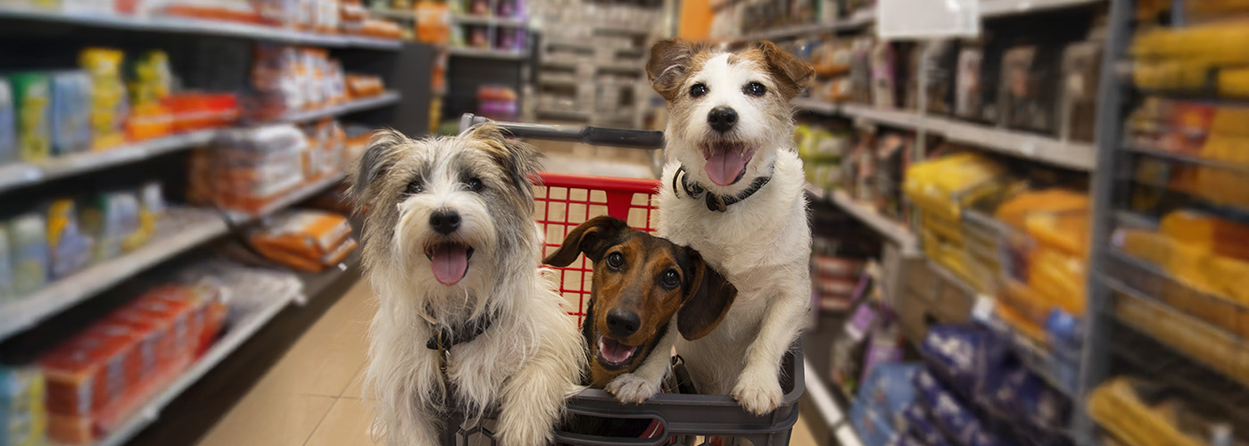 5 claves para mejorar márgenes con un mayorista veterinario