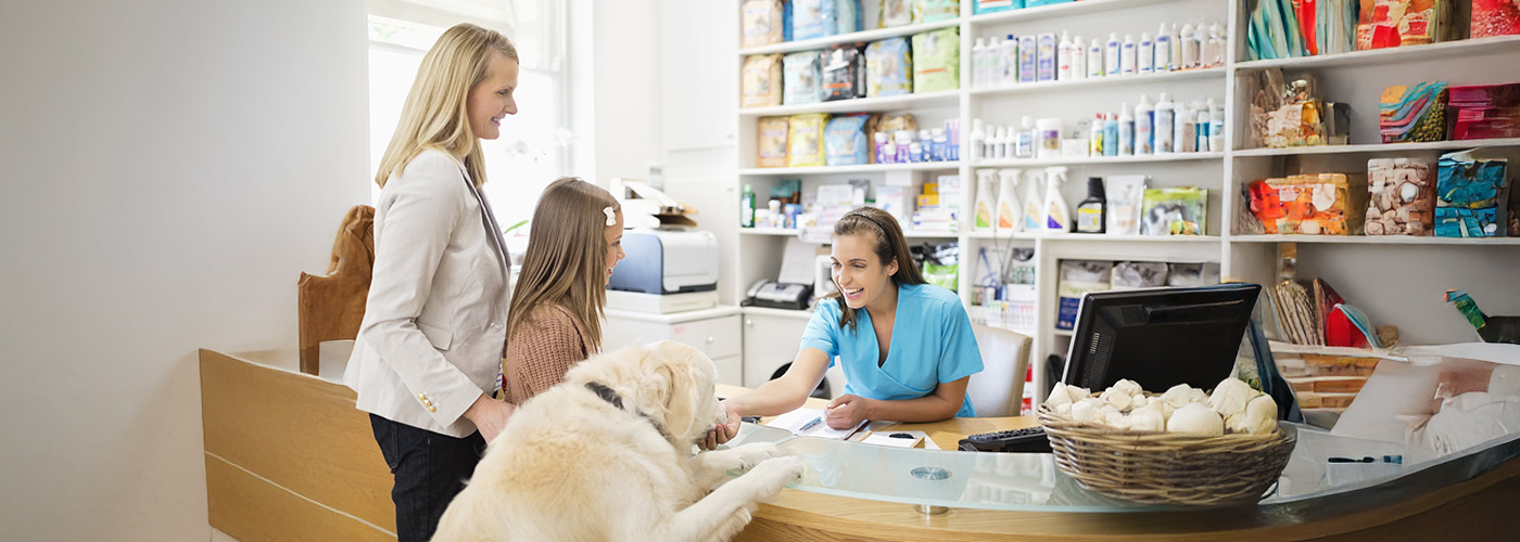 Protocolos de Desparasitación 365: Maximizando la Rentabilidad en la clínica