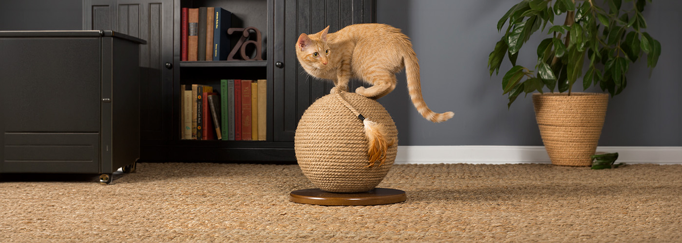 Rascadores para gatos